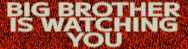 bigbrother